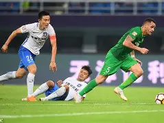 北京中赫国安客场逼平江苏苏宁!(北京中赫国安球场叫什么) 北京中赫国安客场逼平江苏苏宁!(北京中赫国安球场叫什么)
